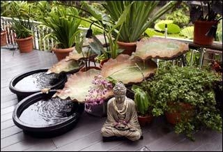 Feng Shui Garden