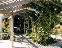 Feng Shui Garden